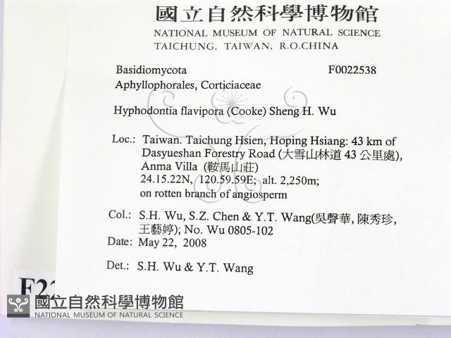 登錄號:F0022538藏品圖，第2張