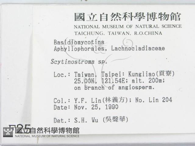 登錄號:F0002538藏品圖，第2張