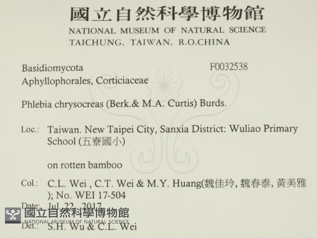 登錄號:F0032538藏品圖，第2張