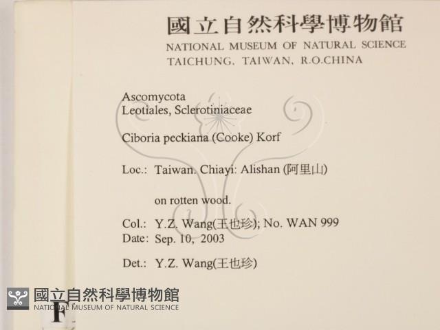 登錄號:F0015538藏品圖，第2張