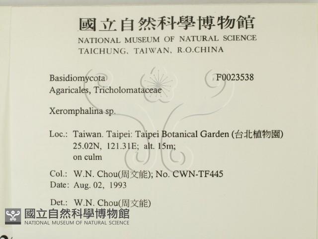 登錄號:F0023538藏品圖，第2張