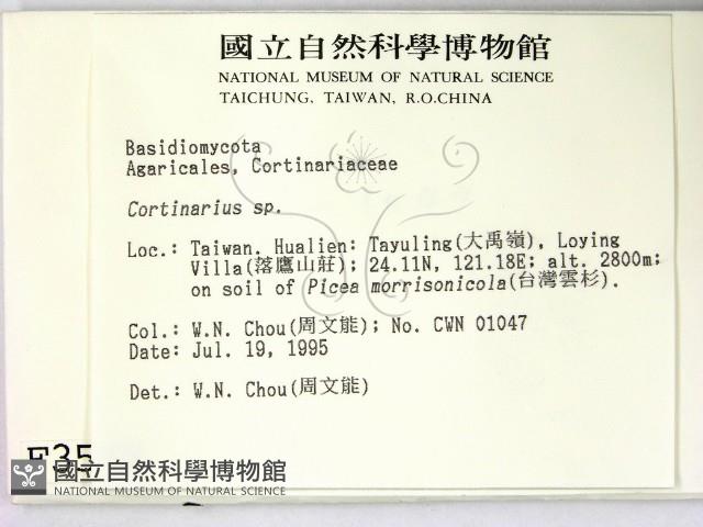 登錄號:F0003538藏品圖，第2張