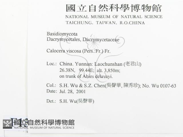 登錄號:F0013538藏品圖，第2張