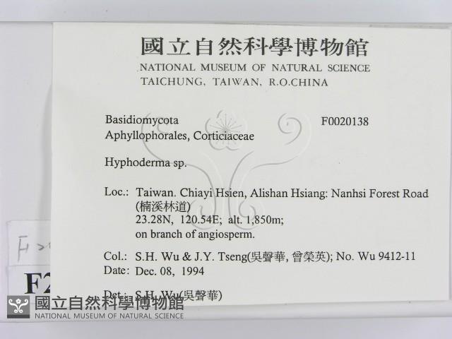 絲皮菌屬藏品圖，第2張