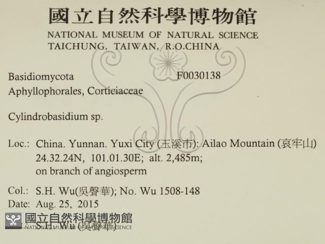 登錄號:F0030138藏品圖，第2張