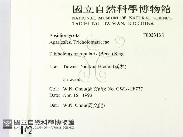 登錄號:F0023138藏品圖，第2張