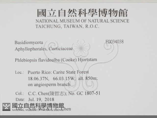 登錄號:F0034038藏品圖，第2張