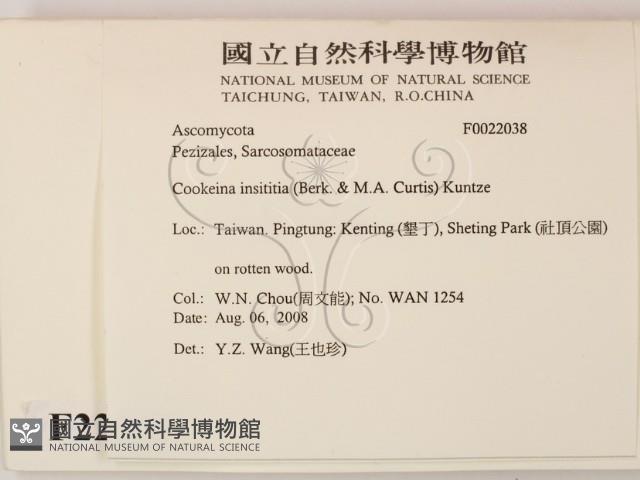 登錄號:F0022038藏品圖，第2張
