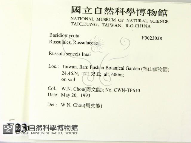 登錄號:F0023038藏品圖，第2張