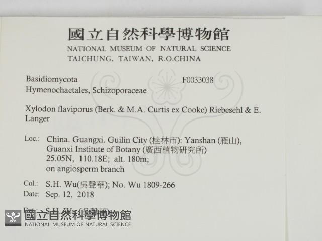 登錄號:F0033038藏品圖，第2張