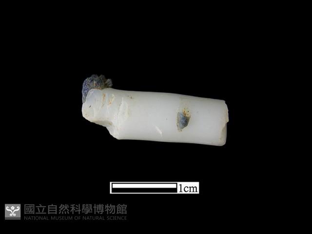 髮簪藏品圖，第1張