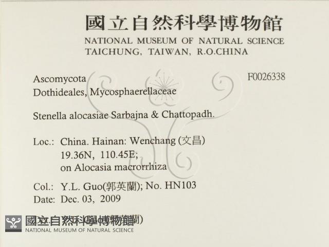 登錄號:F0026338藏品圖，第2張