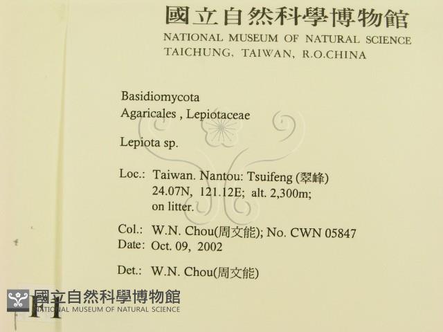 登錄號:F0016338藏品圖，第2張