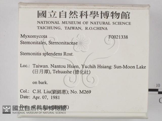 登錄號:F0021338藏品圖，第2張