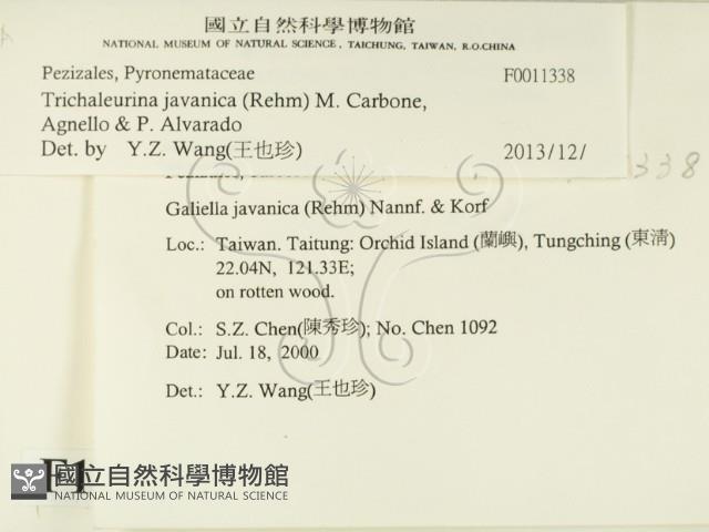 登錄號:F0011338藏品圖，第2張