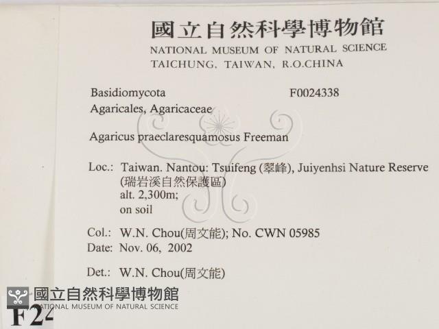 登錄號:F0024338藏品圖，第2張