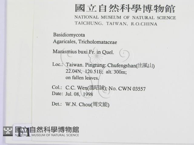 登錄號:F0012338藏品圖，第2張