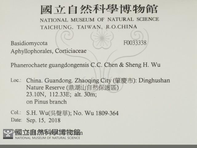 登錄號:F0033338藏品圖，第2張