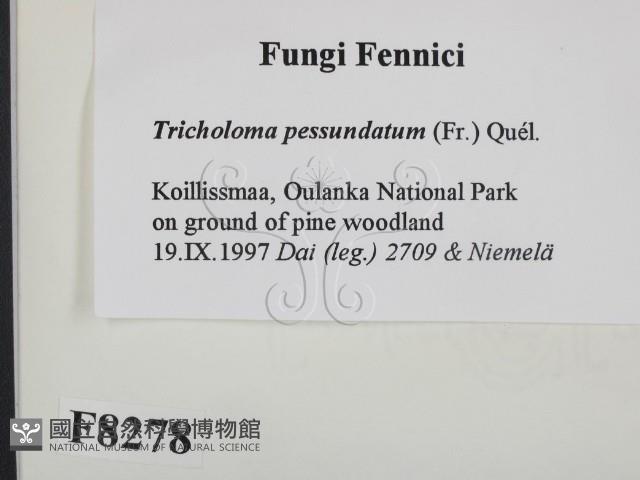 登錄號:F0008278藏品圖，第2張