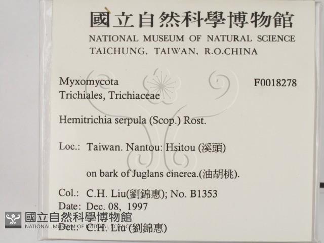登錄號:F0018278藏品圖，第2張