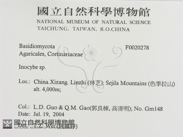 登錄號:F0020278藏品圖，第2張