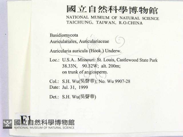 登錄號:F0010278藏品圖，第2張