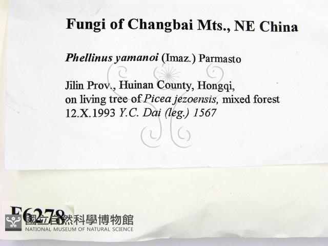 登錄號:F0006278藏品圖，第2張