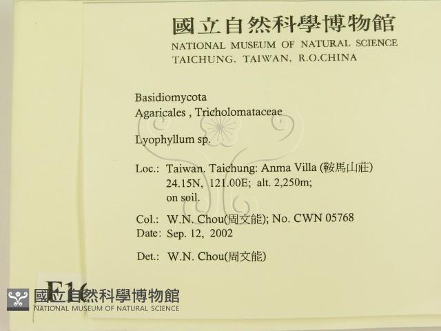 登錄號:F0016278藏品圖，第2張