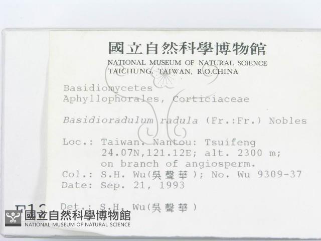 登錄號:F0001278藏品圖，第2張