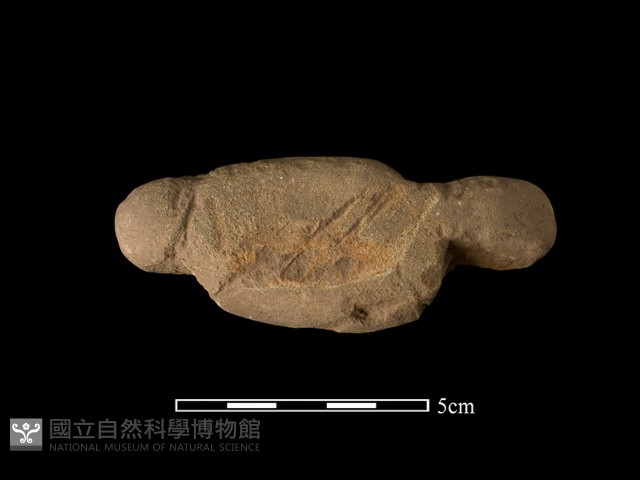 網墜藏品圖，第2張