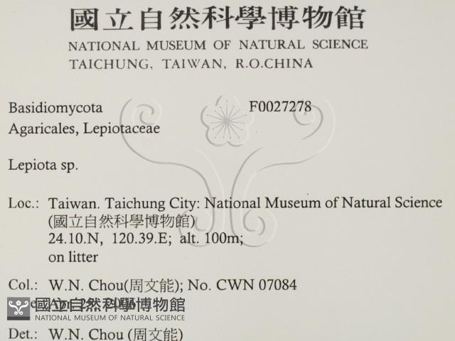 登錄號:F0027278藏品圖，第2張