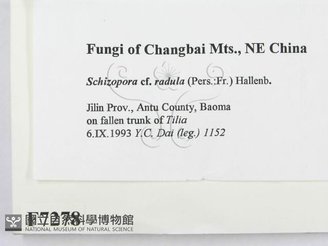 登錄號:F0007278藏品圖，第2張