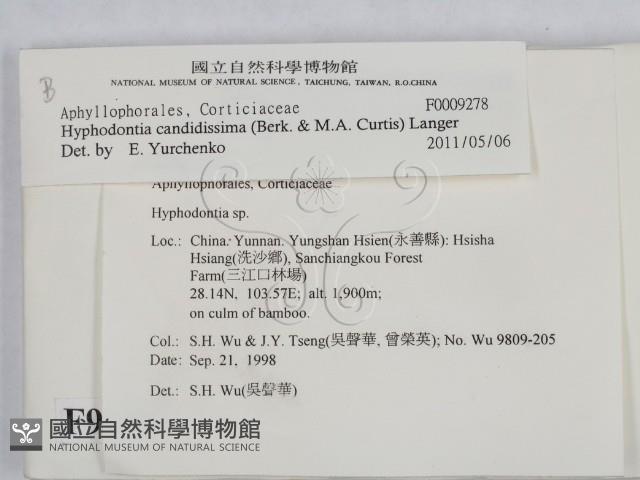 登錄號:F0009278藏品圖，第2張