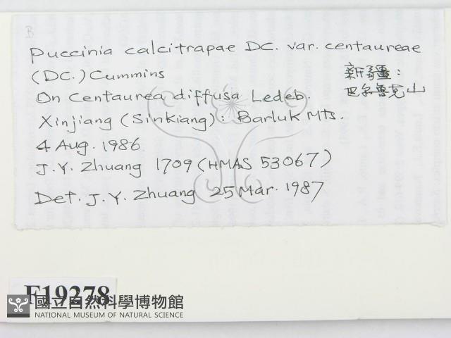 登錄號:F0019278藏品圖，第2張