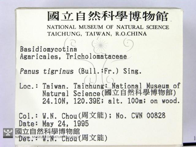 登錄號:F0003278藏品圖，第2張
