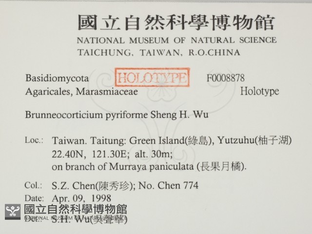 登錄號:F0008878藏品圖，第2張