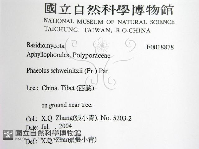 登錄號:F0018878藏品圖，第2張