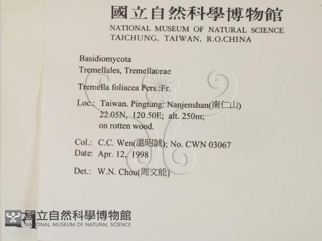 登錄號:F0010878藏品圖，第2張