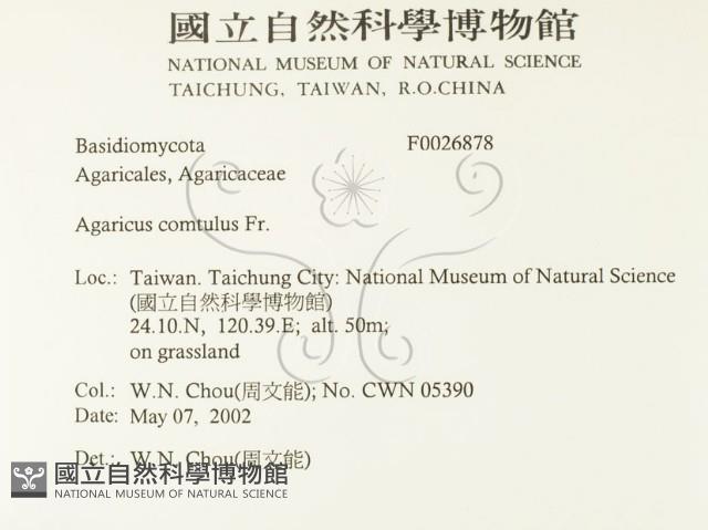 登錄號:F0026878藏品圖，第2張