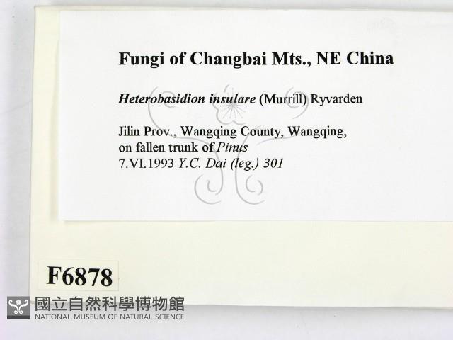 登錄號:F0006878藏品圖，第2張