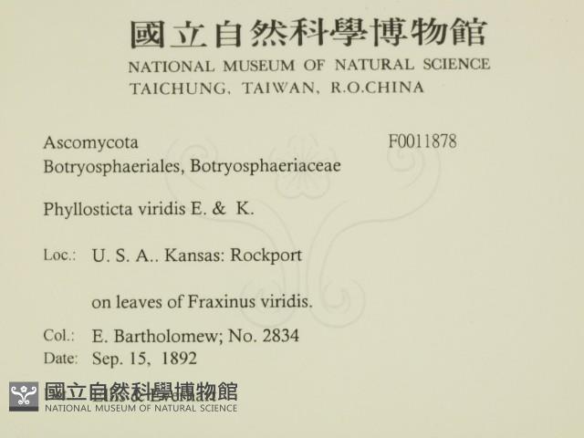 登錄號:F0011878藏品圖，第2張