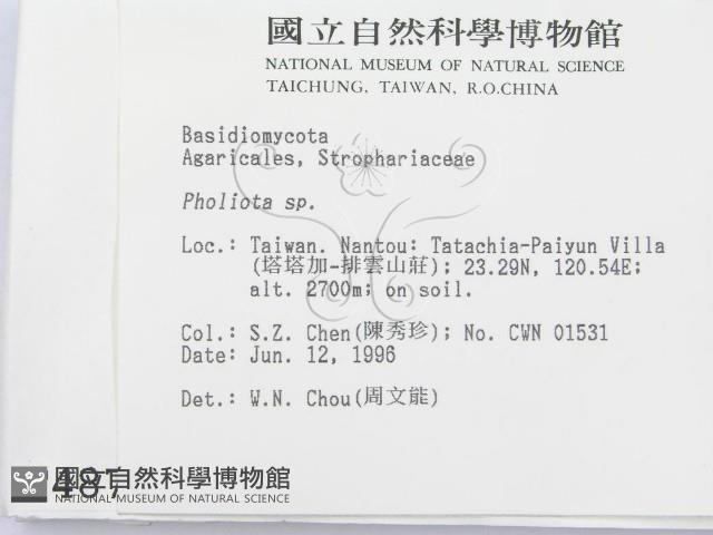 登錄號:F0004878藏品圖，第2張