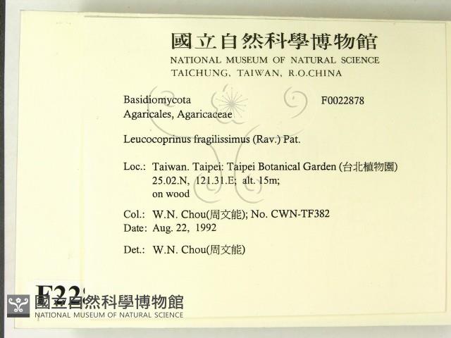 登錄號:F0022878藏品圖，第2張