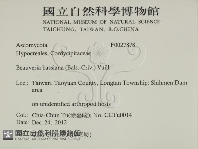 登錄號:F0027878藏品圖，第2張