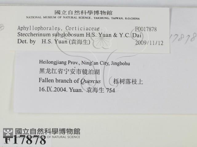 登錄號:F0017878藏品圖，第2張