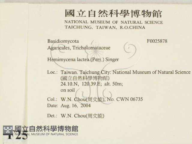 登錄號:F0025878藏品圖，第2張