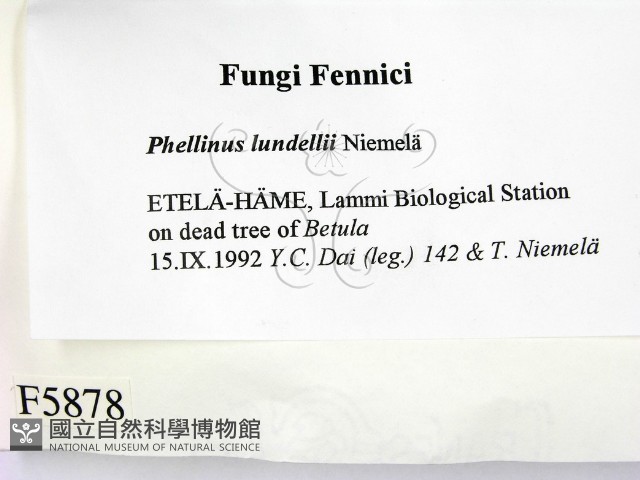 登錄號:F0005878藏品圖，第2張