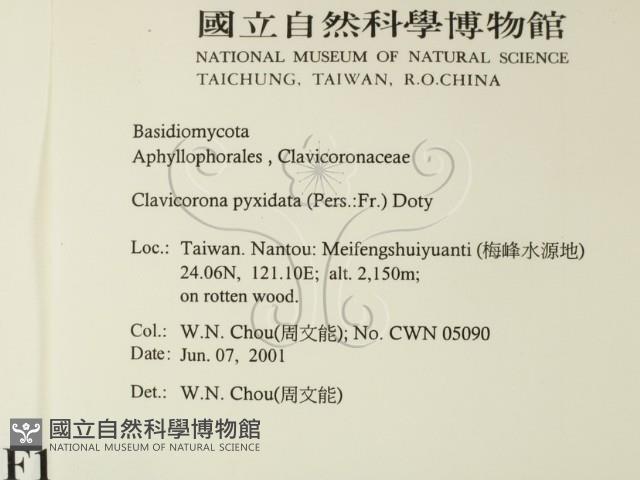 登錄號:F0015878藏品圖，第2張