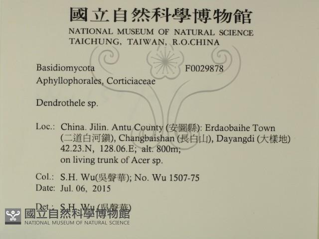 登錄號:F0029878藏品圖，第2張