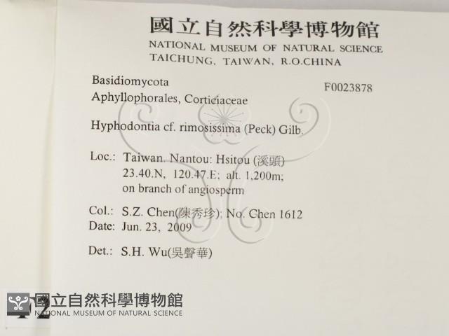 登錄號:F0023878藏品圖，第2張